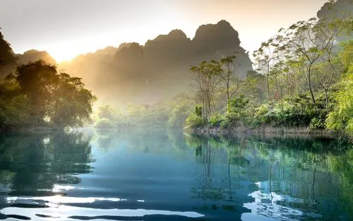 智能系统智能